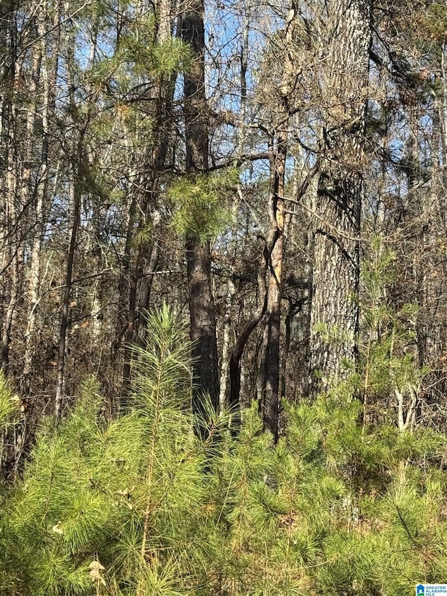 0 Arrowhead Dr unit 21437906, Delta, AL 36258 - photo 5