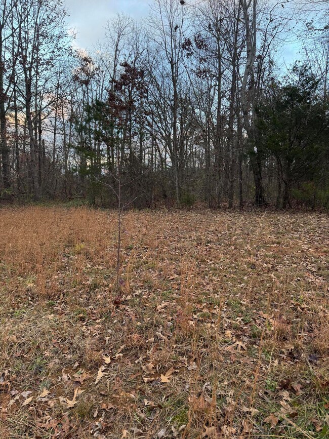 00 County Road 517, Englewood, TN 37329 - photo 2