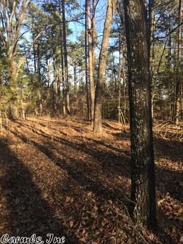 00 Greene Road 626, Paragould, AR 72450 - photo 4