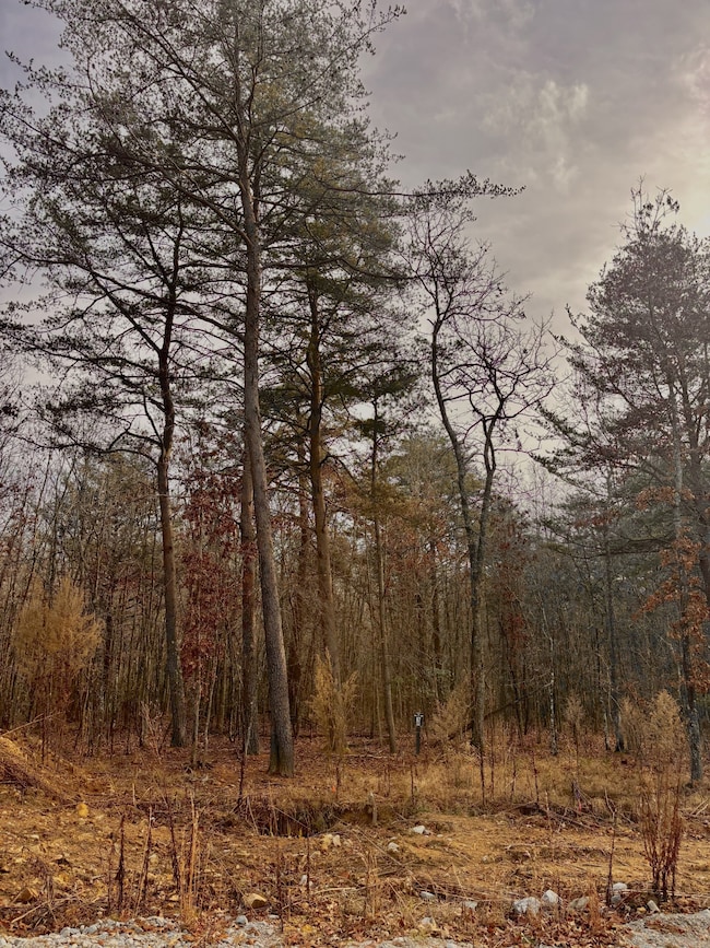 0 Summerfield Rd unit RTC3056693, Monteagle, TN 37356 - photo 2