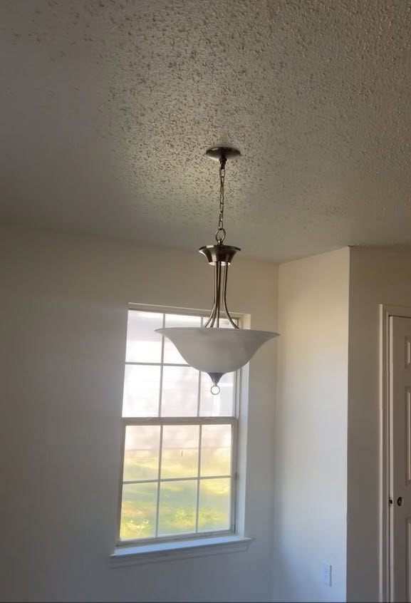 4720 Burma Rd, Dallas, TX 75216 - photo 4