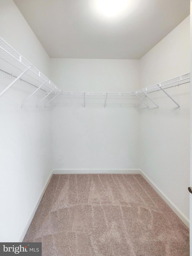 297 Buckeye Cir, La Plata, MD 20646 - photo 7