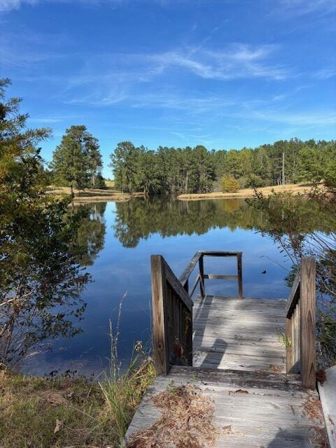 1430 John Wilkes Rd, Lyons, GA 30436 - photo 3