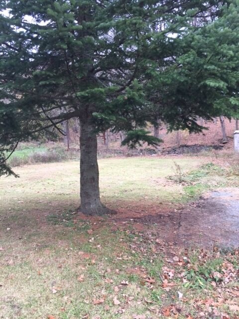 2658 Vt Route 153, West Pawlet, VT 05775 - photo 2