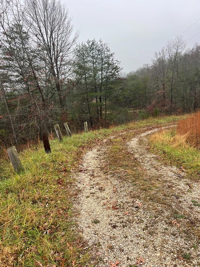 4353 Sandy Ridge Rd, Campton, KY 41301 - photo 5