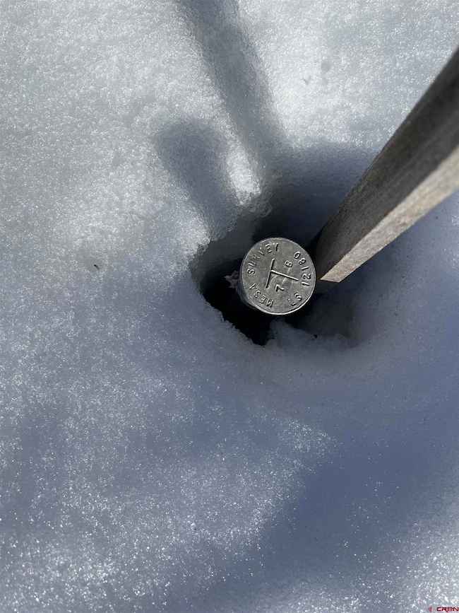 TBD Cottontail Ln, Ridgway, CO 81432 - photo 7