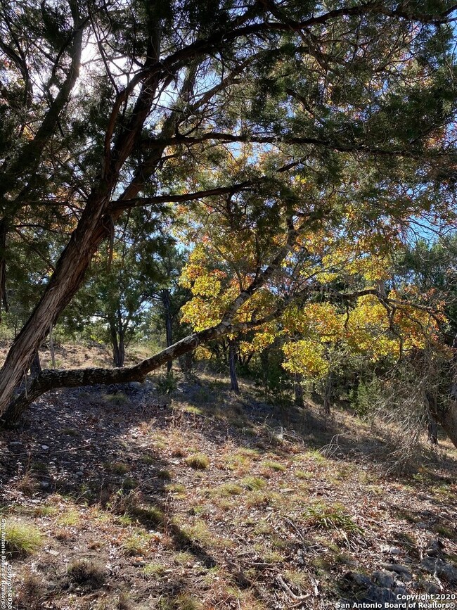 11314 Caliza Crescent, Boerne, TX 78006 - photo 7