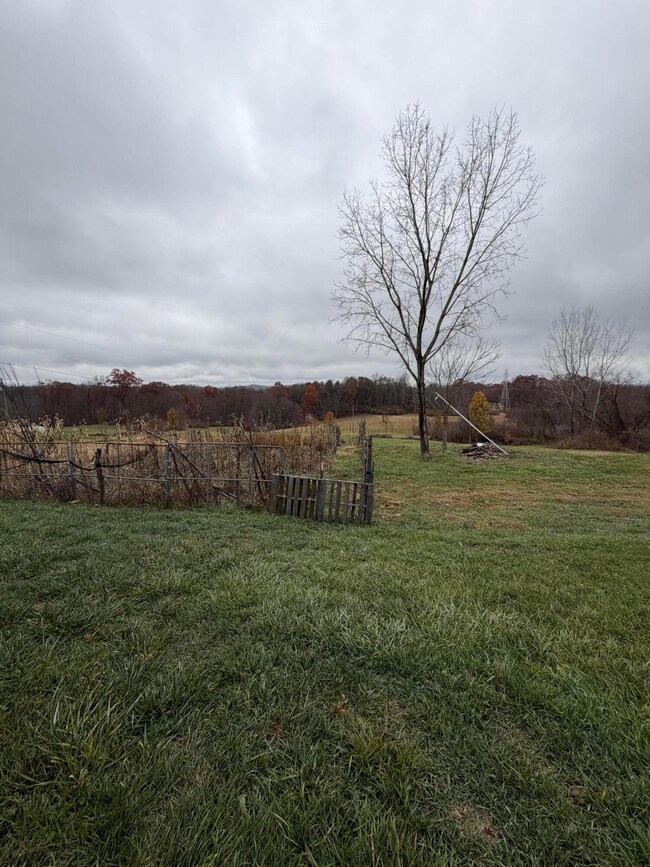 0 Shaver Rd unit 225044351, Blue Rock, OH 43720 - photo 4