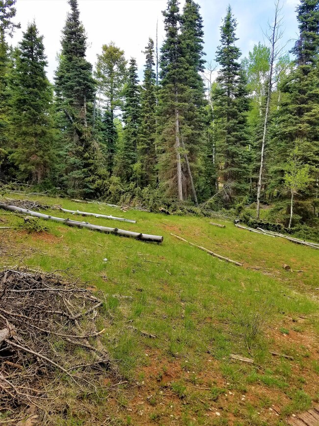 20170602_162235