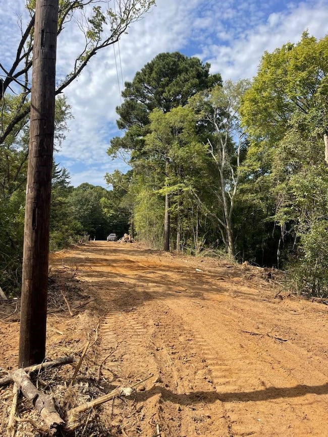 167 County Road 3141, Jacksonville, TX 75766 - photo 3