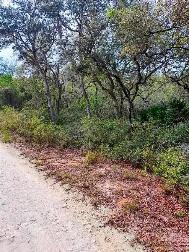 TBD NE 239th Place, Fort Mc Coy, FL 32134 - photo 4