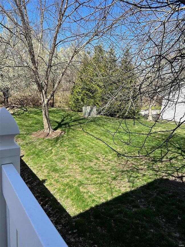 Side Yard