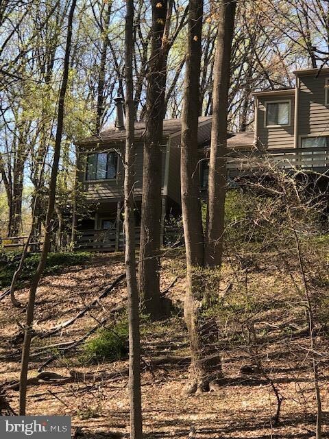 100 Beech View Ct, Towson, MD 21286 - photo 6