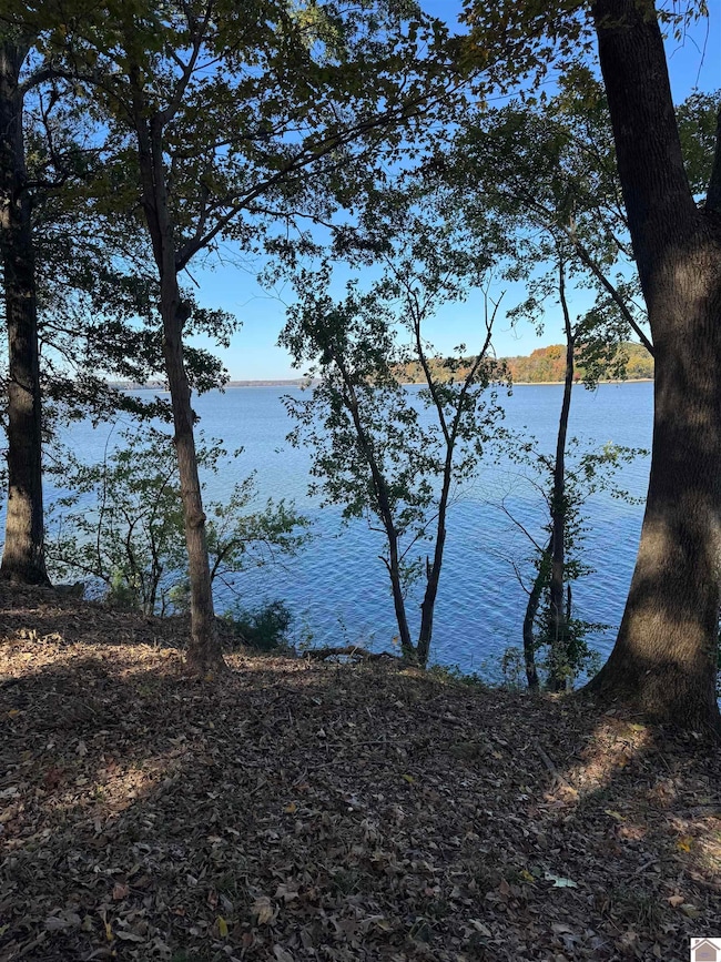 Lot 57 Rimcrest Cir unit Also known as Cheekw, Cadiz, KY 42211 - photo 2