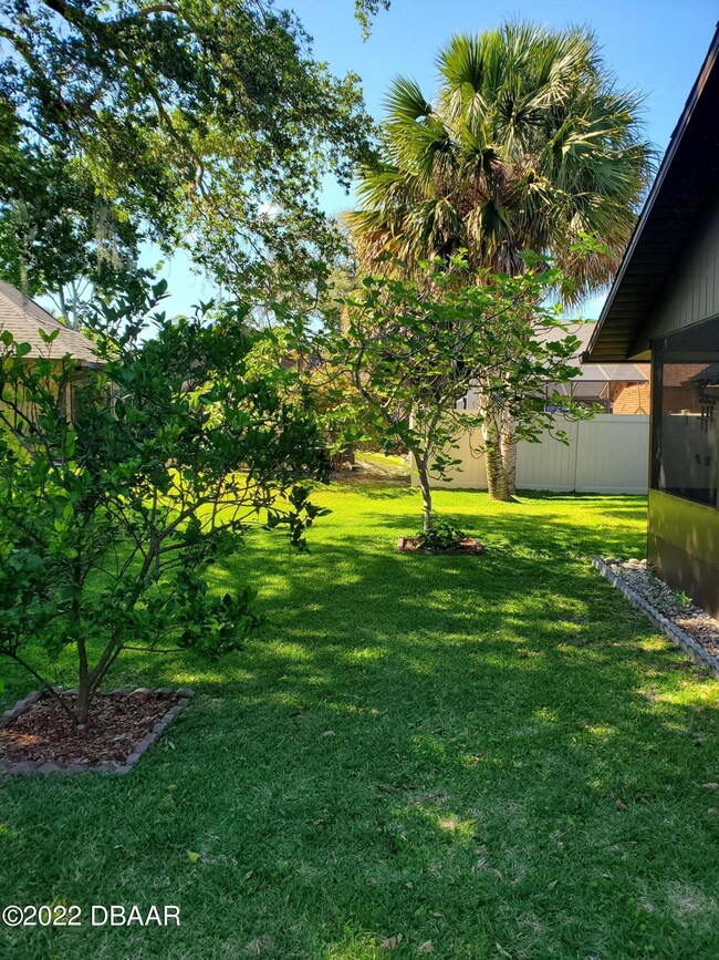 beautiful back yard