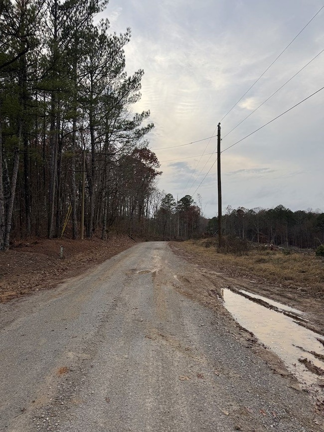 606 County Road 442, Oxford, MS 38655 - photo 6