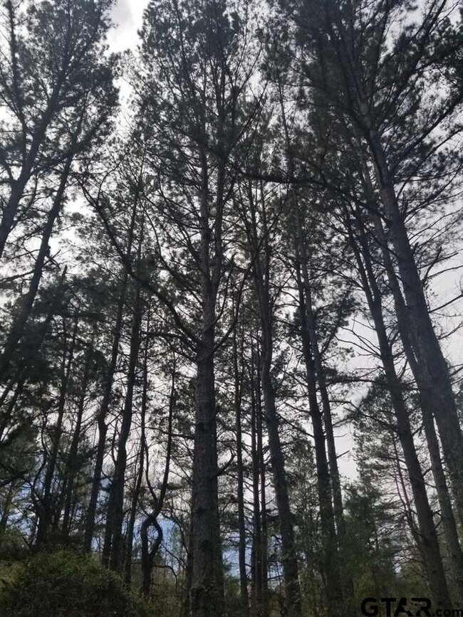 4045 Veranda Place, Tyler, TX 75701 - photo 2