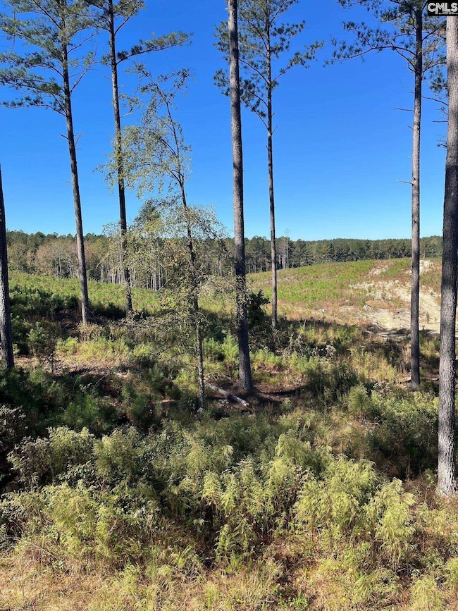 DRF 5 Dawkins Rd unit DRF 5, Pacolet, SC 29372 - photo 2