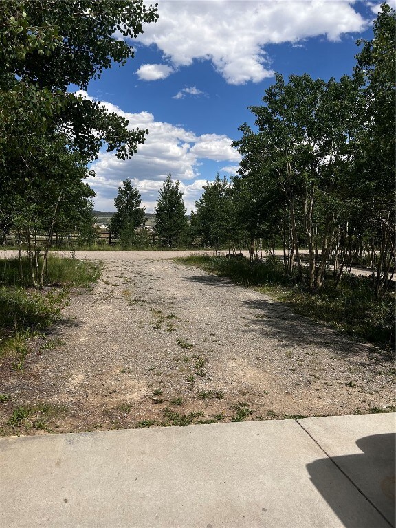 Lot 4 driveway lined with aspen trees!