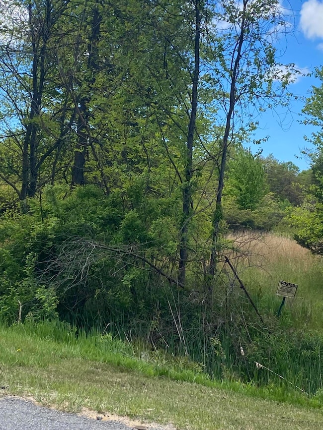 0 62nd St, Grand Junction, MI 49056 - photo 2