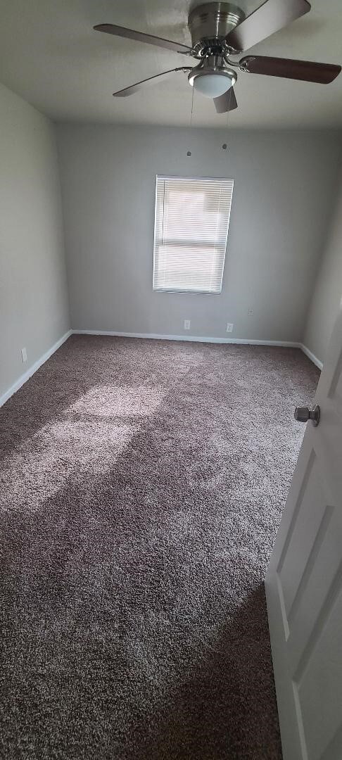 7305 Saint Augustine St, Houston, TX 77021 - photo 3