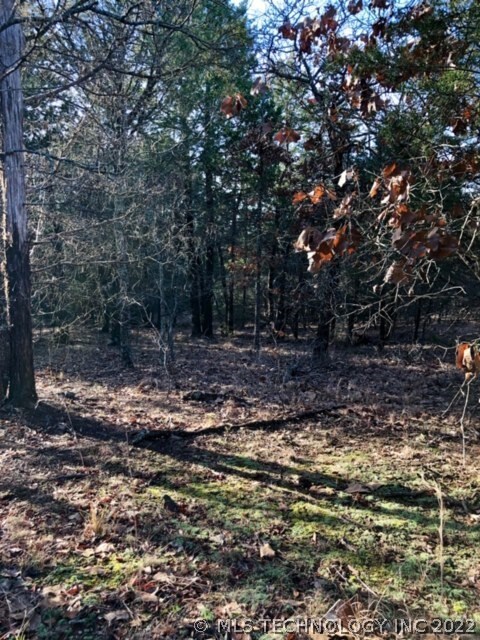 Plenty of woods for privacy