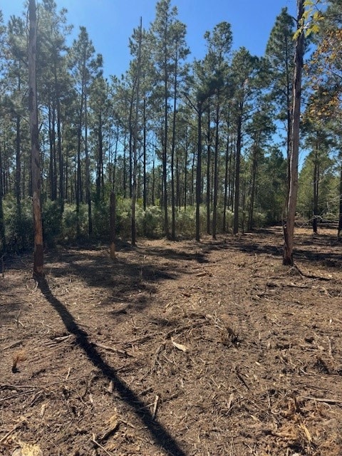 TBD FM 350 South, Lo Farm To Market 350, Livingston, TX 77351 - photo 2