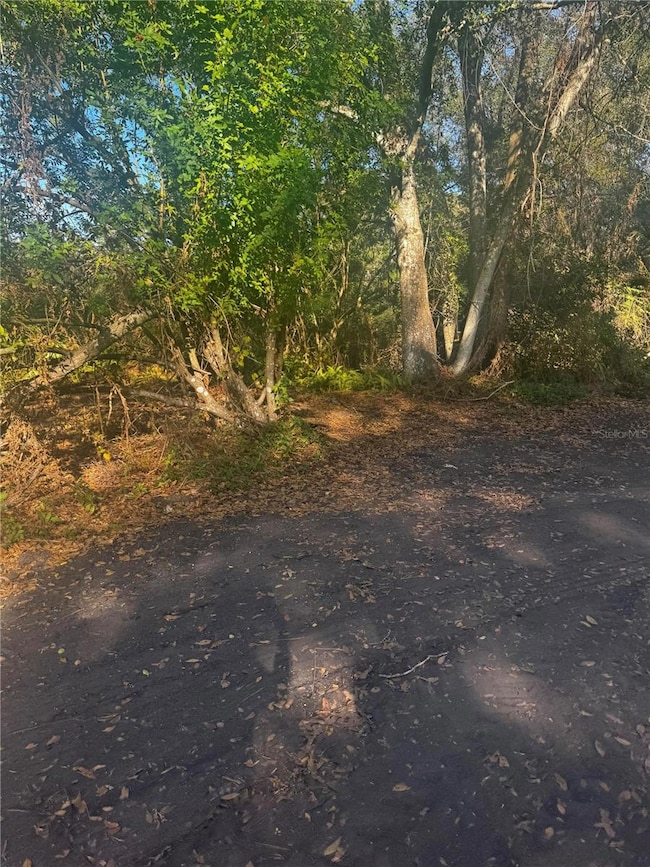 11-20 Anno St, Tampa, FL 33625 - photo 4