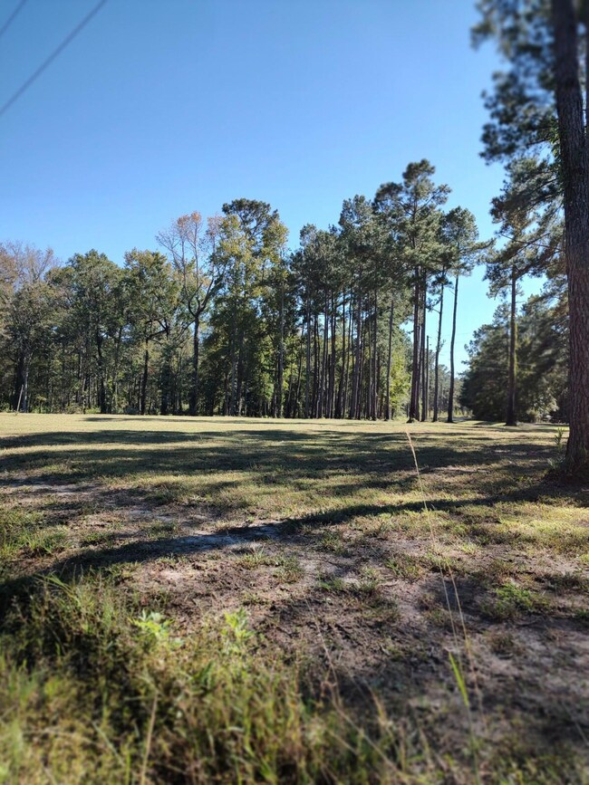 1512 Shulerville Rd, Shulerville, SC 29453 - photo 3