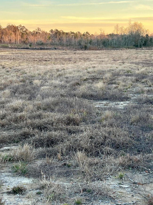 Lot 8 1 ac Patton Creek Rd, Waynesboro, MS 39367 - photo 3