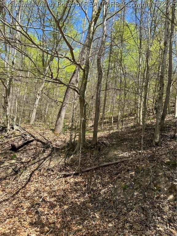 Lot #1 Sugartree Rd, Alkol, WV 25521 - photo 2