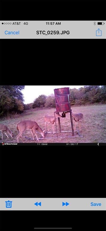 TBD Uz Rd N, Forestburg, TX 76239 - photo 4