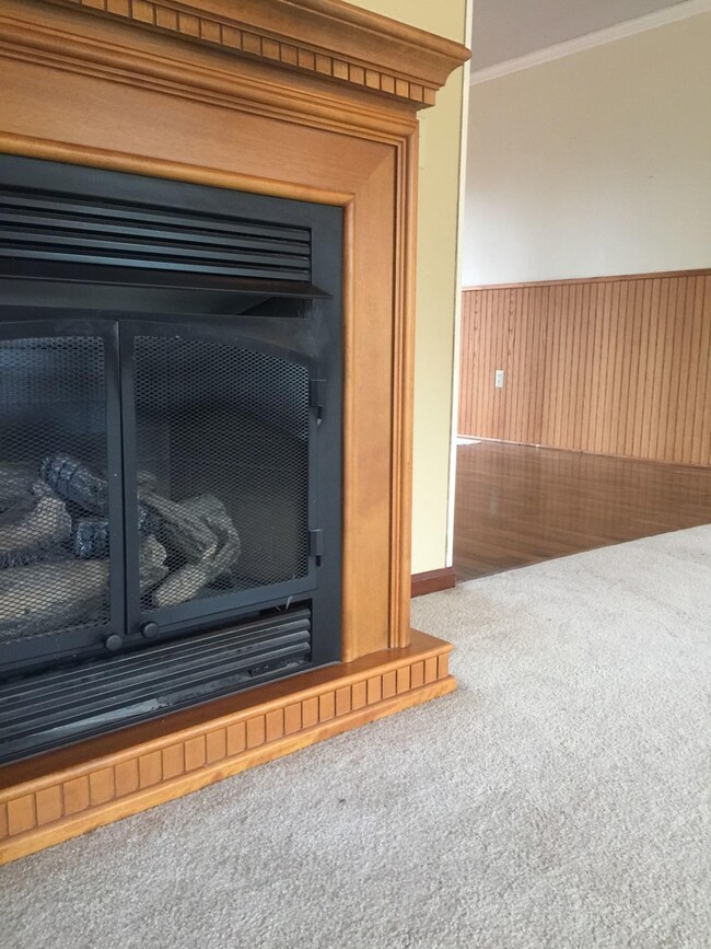 propane fireplace