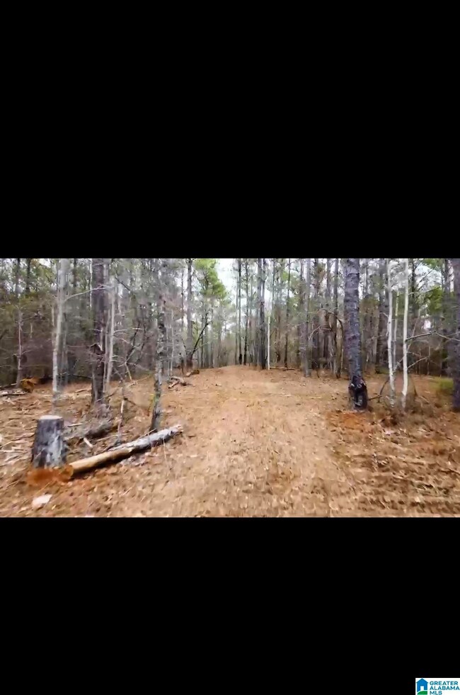 00 County Road 632 unit Acres, Roanoke, AL 36274 - photo 2