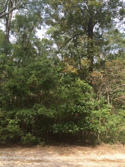 LOT 4 River Plantation Rd, Crawfordville, FL 32327 - photo 4