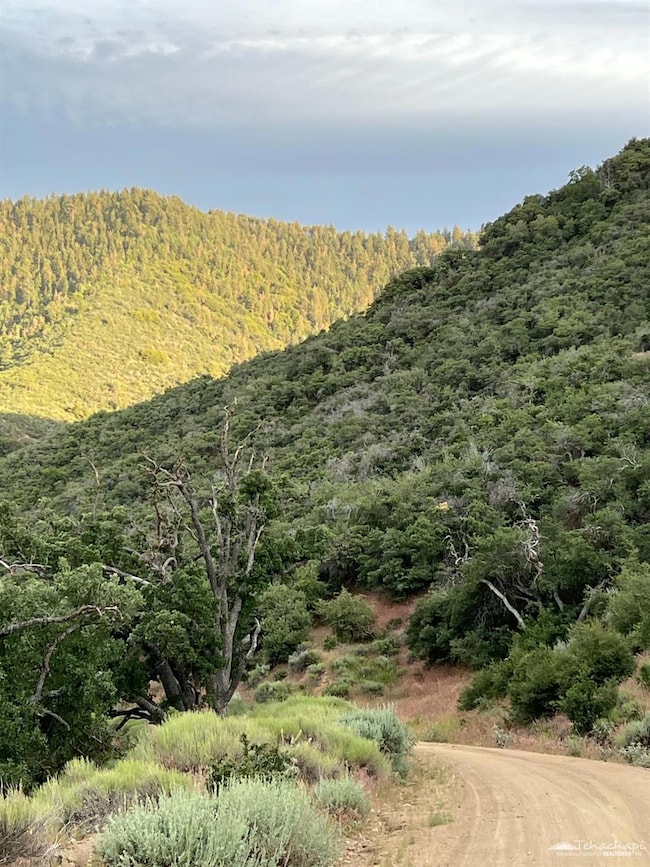 17401 St Moritz Dr, Tehachapi, CA 93561 - photo 3