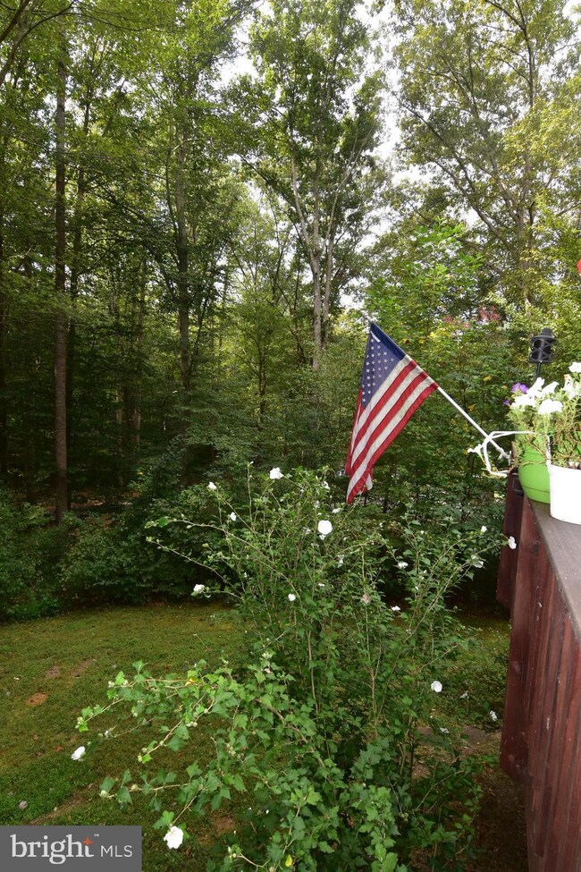 41612 Beechwood Ln, Hollywood, MD 20636 - photo 2