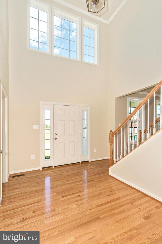 19002 Black Maple Way, Hagerstown, MD 21742 - photo 7