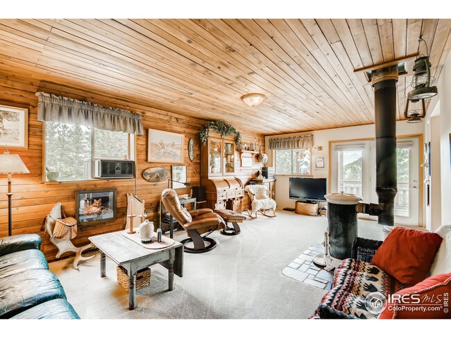 living room with pot belly stove (heats the whole house all winter)