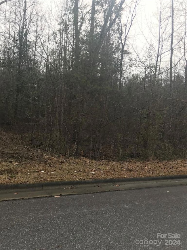 00 Circle Dr NE, Lenoir, NC 28645 - photo 3