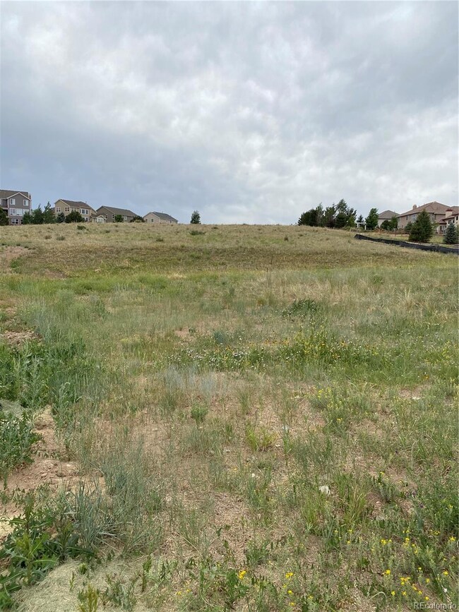 5720 Distant View Place, Parker, CO 80134 - photo 2
