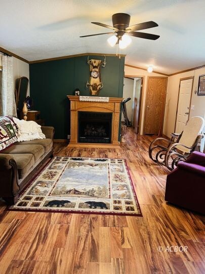 Gas fireplace