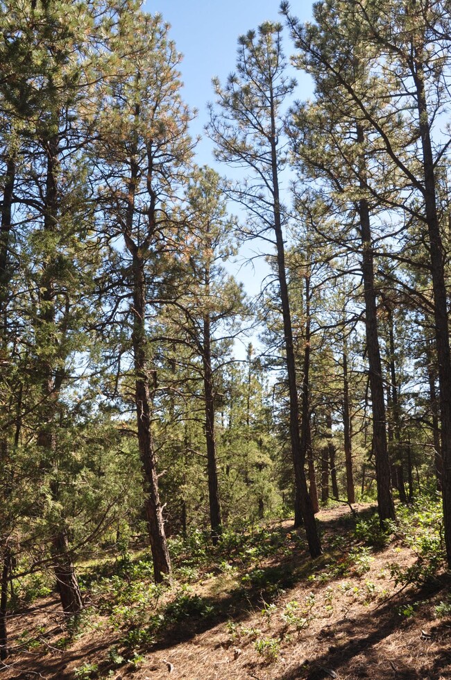 0 4230 Chipmunk Dr unit B70 16-642, Trinidad, CO - photo 5