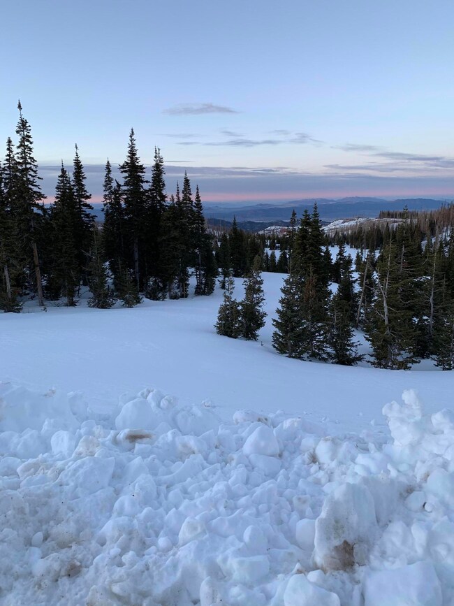 977 E Kodiak unit Lot 31 SEM, Brian Head, UT 84719 - photo 3