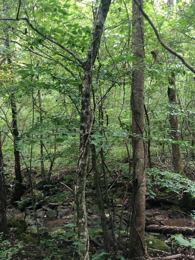 9CA99545-DEBA-4001-99DD-CFE1DAD01495