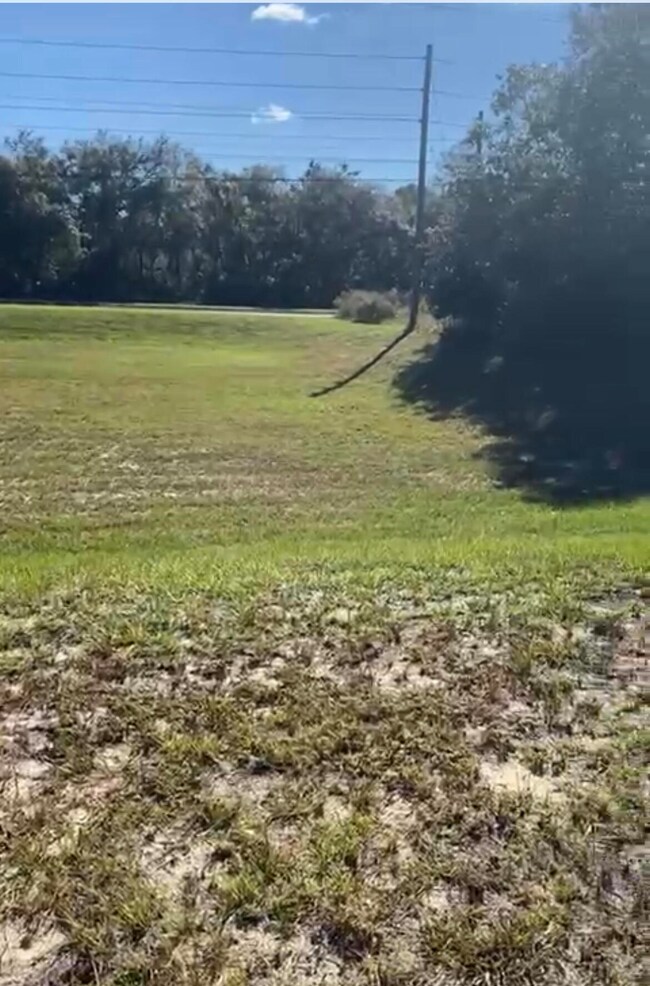 4017 SW 133rd Loop, Ocala, FL 34473 - photo 4