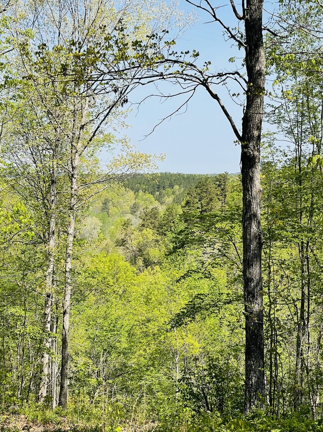 0 Saddlebrook Dr, Hohenwald, TN 38462 - photo 4