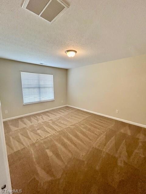 Primary or Guest Bedroom