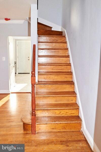 3307 Mary Ave, Baltimore, MD 21214 - photo 3