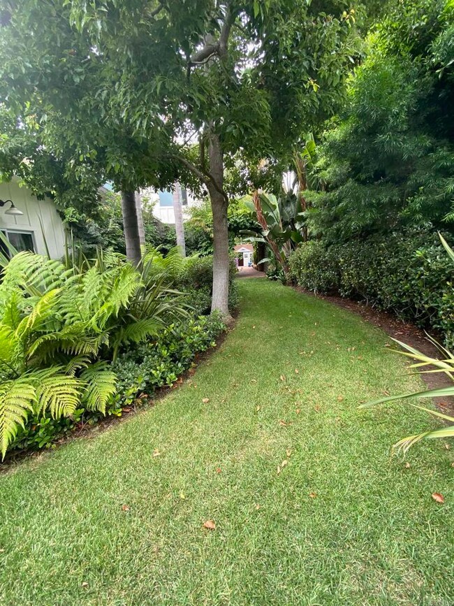732 Bonita Dr, Encinitas, CA 92024 - photo 5